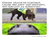 weiter