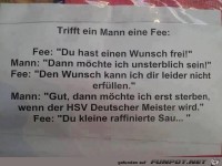trifft ein mann eine fee