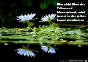 Tellerrand.jpg auf www.funpot.net