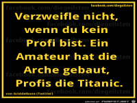 diegeilsten Profi Amateur