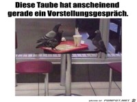 Vorstellungsgespr�ch