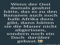 Hätte man das mal gewusst