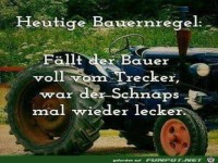 Bauernregel