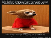 idiotisches Wetter.....