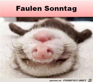 Begr&uuml;&szlig;ungsbild