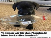 Das wäre schön