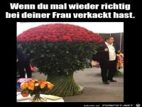 Wenn du mal wieder