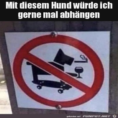 Cooler-Hund.jpg von Finnja
