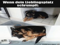 Er ist gr��er geworden