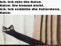 Mit der Futterdose sch�tteln hilft immer