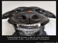 Ein kleines Lächeln