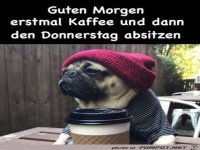 Guten Morgen am Donnerstag