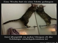 Man muss das immer wieder pr�fen