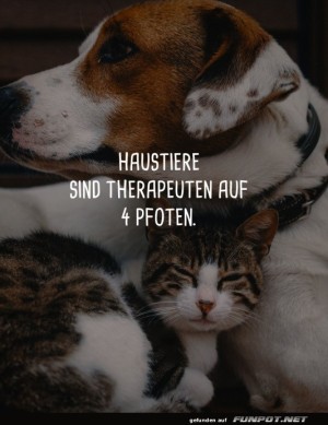 Haustiere.jpg auf www.funpot.net