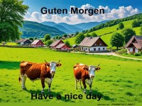 Guten Morgen