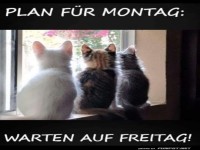 Plan f�r Montag