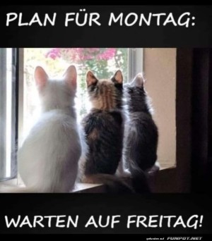 Plan-fr-Montag.jpg auf www.funpot.net