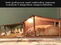 Sch�nes Pl�tzchen