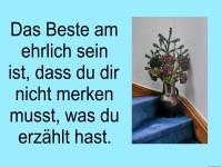 Die Vorteile der Ehrlichkeit