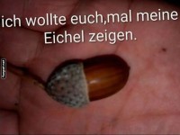 Eichel Enthllung: Ungeahnte Perspektiven