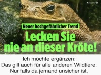 Vorsicht Kr�ten!
