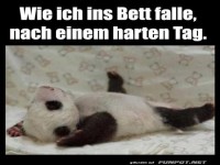 Wie ich ins Bett falle