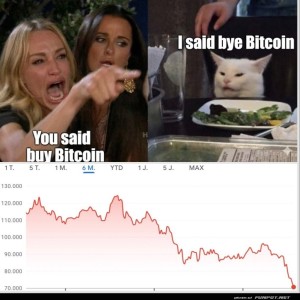 Katzen-weisen-Schuld-zu.jpg von Roger05