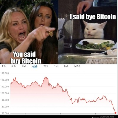 Katzen-weisen-Schuld-zu.jpg von Roger05