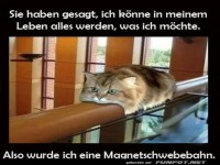 Die flauschige Magnetschwebekatze