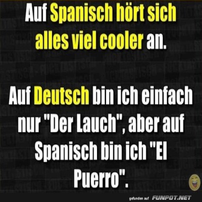 Sprachzauber:-Vom-Lauch-zum-Puerro.jpg von Roger05