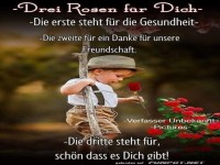 Drei Rosen f�r dich