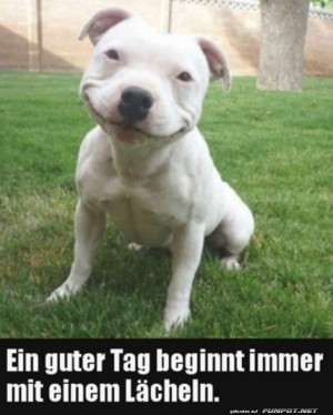 Ein-guter-Tag.jpg auf www.funpot.net