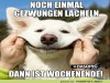 weiter