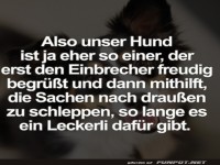 Einbrecherfreund der besonderen Art