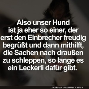 Einbrecherfreund-der-besonderen-Art.jpg von Josefin