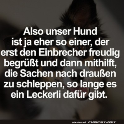 Einbrecherfreund-der-besonderen-Art.jpg von Josefin