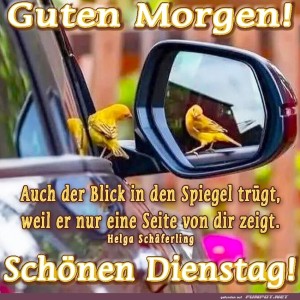 Vogelspiegel-und-Auto:-Der-Morgenblick!.jpg von Justin