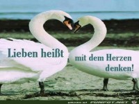lieben heisst