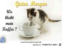 Guten Morgen 