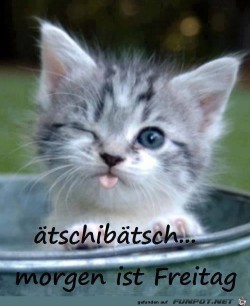 Aetschibaetsch.jpg auf www.funpot.net