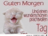 Guten Morgen