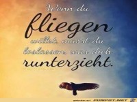 wenn du fliegen willst