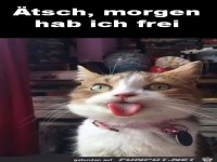 �tsch, morgen hab ich frei