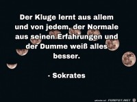 der kluge lernt