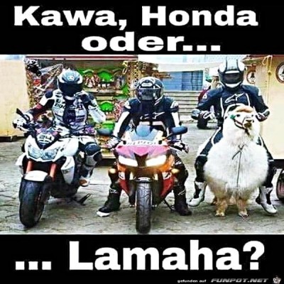 Neue-Maschine.jpg von Hannah