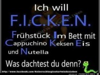 F.I.C.K.E.N.