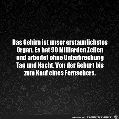 Das-Gehirn.jpg von Luka