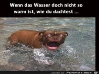 Doch nicht so warm