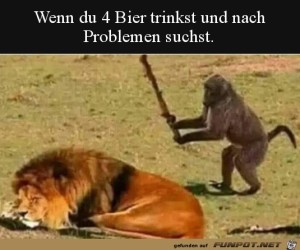 Wenn-du-nach-Problemen-suchst.jpg auf www.funpot.net