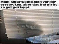 Schlechtes Versteck